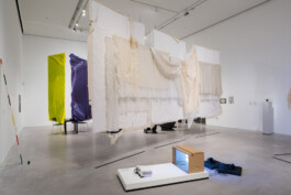 Anna Schapiro, Class Issues – Art Production In and Out of Precarity, Klassenfragen – Kunst und ihre Produktionsbedingungen, 2022/2023