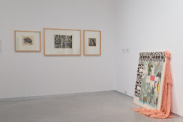 Anna Schapiro, Class Issues – Art Production In and Out of Precarity, Klassenfragen – Kunst und ihre Produktionsbedingungen, 2022/2023