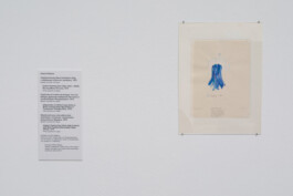 Anna Schapiro, Class Issues – Art Production In and Out of Precarity, Klassenfragen – Kunst und ihre Produktionsbedingungen, 2022/2023