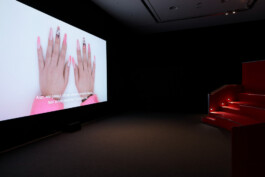 Anna Schapiro, Class Issues – Art Production In and Out of Precarity, Klassenfragen – Kunst und ihre Produktionsbedingungen, 2022/2023