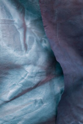 Anna Schapiro, Empty Center, based on a poem by Rosmarie Waldrop On Lawn of Excluded Middle, 2016