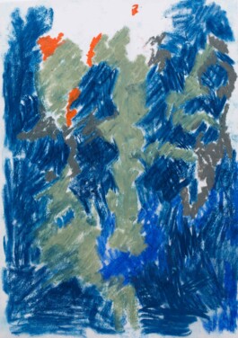 Anna Schapiro, Gravity of Northern Colors, 2017/2018