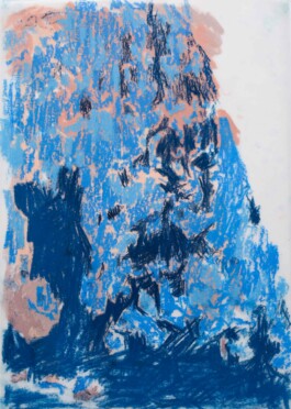 Anna Schapiro, Gravity of Northern Colors, 2017/2018