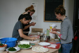 Anna Schapiro, Kolleg für studentischen Austausch und gutes Essen (Collective for Student Exchange and Good Food), 2009-2011