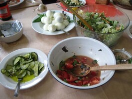 Anna Schapiro, Kolleg für studentischen Austausch und gutes Essen (Collective for Student Exchange and Good Food), 2009-2011