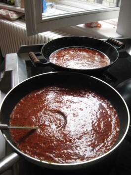 Anna Schapiro, Kolleg für studentischen Austausch und gutes Essen (Collective for Student Exchange and Good Food), 2009-2011