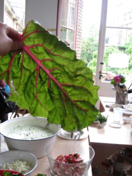 Anna Schapiro, Kolleg für studentischen Austausch und gutes Essen (Collective for Student Exchange and Good Food), 2009-2011