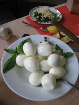 Anna Schapiro, Kolleg für studentischen Austausch und gutes Essen (Collective for Student Exchange and Good Food), 2009-2011