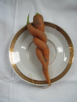 Anna Schapiro, Kolleg für studentischen Austausch und gutes Essen (Collective for Student Exchange and Good Food), 2009-2011