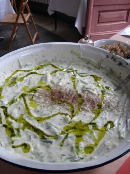 Anna Schapiro, Kolleg für studentischen Austausch und gutes Essen (Collective for Student Exchange and Good Food), 2009-2011