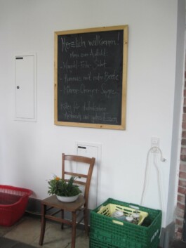 Anna Schapiro, Kolleg für studentischen Austausch und gutes Essen (Collective for Student Exchange and Good Food), 2009-2011