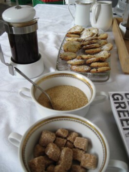 Anna Schapiro, Kolleg für studentischen Austausch und gutes Essen (Collective for Student Exchange and Good Food), 2009-2011