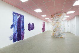 Anna Schapiro, A Nuance Between Red and Blue – Maybe Purple (Eine Nuance zwischen Rot und Blau – Vielleicht Purpur), Exhibition project on the history, production and effects of the purple dye, 2022/2023, photo: Ludwig Kupfer Anna Schapiro, visual artist, writer and editor based in Berlin