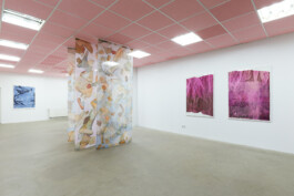 Anna Schapiro, A Nuance Between Red and Blue – Maybe Purple (Eine Nuance zwischen Rot und Blau – Vielleicht Purpur), Exhibition project on the history, production and effects of the purple dye, 2022/2023