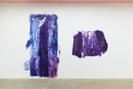 Anna Schapiro, A Nuance Between Red and Blue – Maybe Purple (Eine Nuance zwischen Rot und Blau – Vielleicht Purpur), Exhibition project on the history, production and effects of the purple dye, 2022/2023