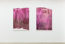 Anna Schapiro, A Nuance Between Red and Blue – Maybe Purple (Eine Nuance zwischen Rot und Blau – Vielleicht Purpur), Exhibition project on the history, production and effects of the purple dye, 2022/2023