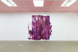 Anna Schapiro, A Nuance Between Red and Blue – Maybe Purple (Eine Nuance zwischen Rot und Blau – Vielleicht Purpur), Exhibition project on the history, production and effects of the purple dye, 2022/2023