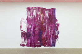 Anna Schapiro, A Nuance Between Red and Blue – Maybe Purple (Eine Nuance zwischen Rot und Blau – Vielleicht Purpur), Exhibition project on the history, production and effects of the purple dye, 2022/2023