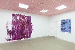 Anna Schapiro, A Nuance Between Red and Blue – Maybe Purple (Eine Nuance zwischen Rot und Blau – Vielleicht Purpur), Exhibition project on the history, production and effects of the purple dye, 2022/2023