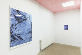 Anna Schapiro, A Nuance Between Red and Blue – Maybe Purple (Eine Nuance zwischen Rot und Blau – Vielleicht Purpur), Exhibition project on the history, production and effects of the purple dye, 2022/2023