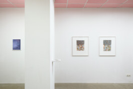 Anna Schapiro, A Nuance Between Red and Blue – Maybe Purple (Eine Nuance zwischen Rot und Blau – Vielleicht Purpur), Exhibition project on the history, production and effects of the purple dye, 2022/2023