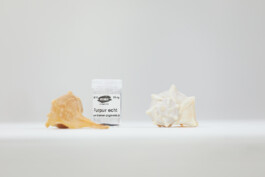 Anna Schapiro, A Nuance Between Red and Blue – Maybe Purple (Eine Nuance zwischen Rot und Blau – Vielleicht Purpur), Exhibition project on the history, production and effects of the purple dye, 2022/2023