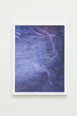 Anna Schapiro, A Nuance Between Red and Blue – Maybe Purple (Eine Nuance zwischen Rot und Blau – Vielleicht Purpur), Exhibition project on the history, production and effects of the purple dye, 2022/2023