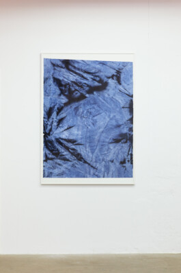 Anna Schapiro, A Nuance Between Red and Blue – Maybe Purple (Eine Nuance zwischen Rot und Blau – Vielleicht Purpur), Exhibition project on the history, production and effects of the purple dye, 2022/2023