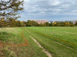 Anna Schapiro, Moving Earths, 2022