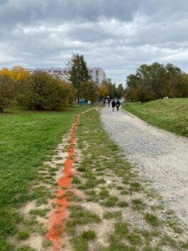 Anna Schapiro, Moving Earths, 2022