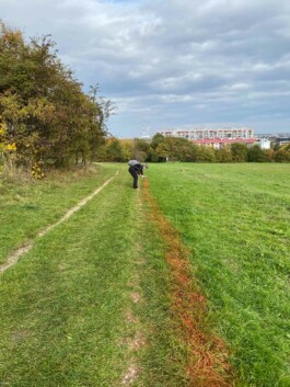 Anna Schapiro, Moving Earths, 2022