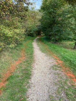 Anna Schapiro, Moving Earths, 2022