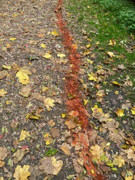 Anna Schapiro, Moving Earths, 2022