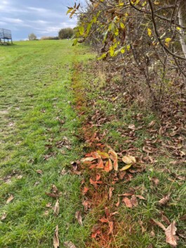 Anna Schapiro, Moving Earths, 2022