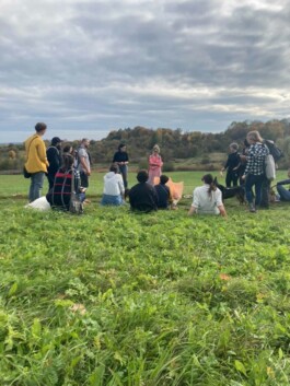 Anna Schapiro, Moving Earths, 2022