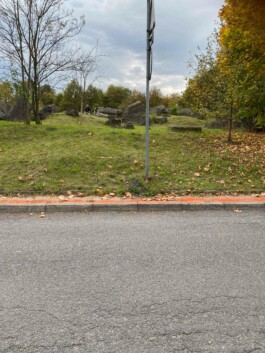 Anna Schapiro, Moving Earths, 2022