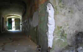 Anna Schapiro, MY HOUSE IS YOUR HOUSE (MEIN HAUS IST DEIN HAUS), 2009