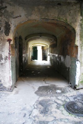 Anna Schapiro, MY HOUSE IS YOUR HOUSE (MEIN HAUS IST DEIN HAUS), 2009