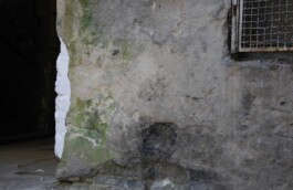 Anna Schapiro, MY HOUSE IS YOUR HOUSE (MEIN HAUS IST DEIN HAUS), 2009