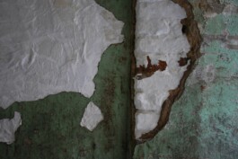 Anna Schapiro, MY HOUSE IS YOUR HOUSE (MEIN HAUS IST DEIN HAUS), 2009