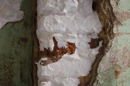 Anna Schapiro, MY HOUSE IS YOUR HOUSE (MEIN HAUS IST DEIN HAUS), 2009