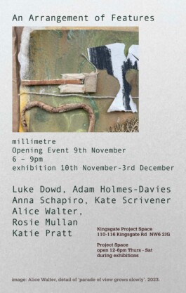 Anna Schapiro, An Arrangement of Features, 2023