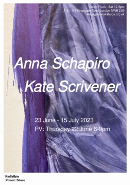 Anna Schapiro and Kate Scrivener, 2023