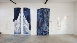 Anna Schapiro, Open Closed (Offen Verschlossen), 2019