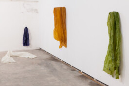 Anna Schapiro, Relatives (Verwandte), 2013