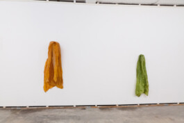 Anna Schapiro, Relatives (Verwandte), 2013