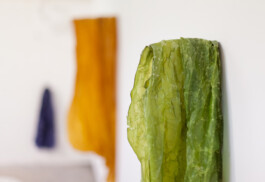 Anna Schapiro, Relatives (Verwandte), 2013