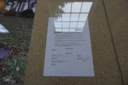 Anna Schapiro, SCHENKUNGSVEREINBARUNG (GIFT AGREEMENT) , 2018