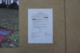 Anna Schapiro, SCHENKUNGSVEREINBARUNG (GIFT AGREEMENT) , 2018