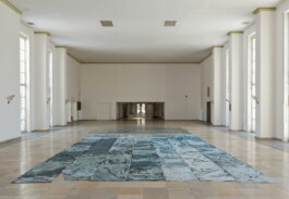 Anna Schapiro, SCHNITT DURCH DEN TIEFEREN GRUND EINER FALTENMOLASSE, 2018